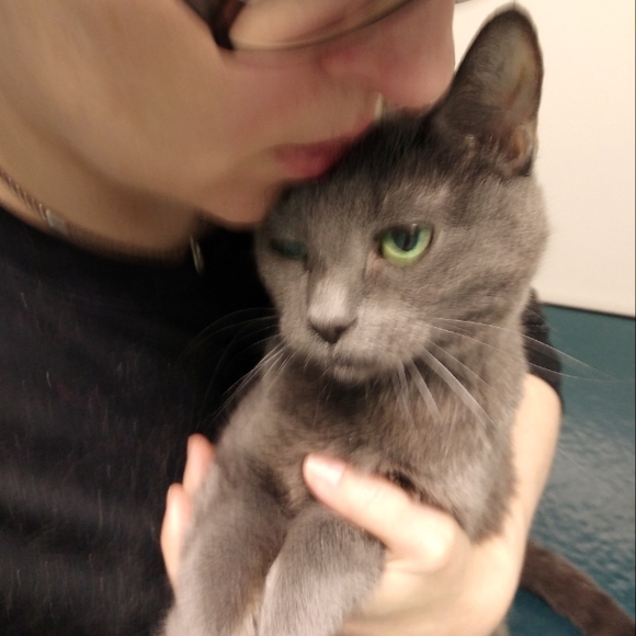 I keep my human awake all night. How you doin'? - Picture 4 of 6